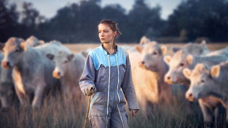 кадр из фильма La Terre des hommes