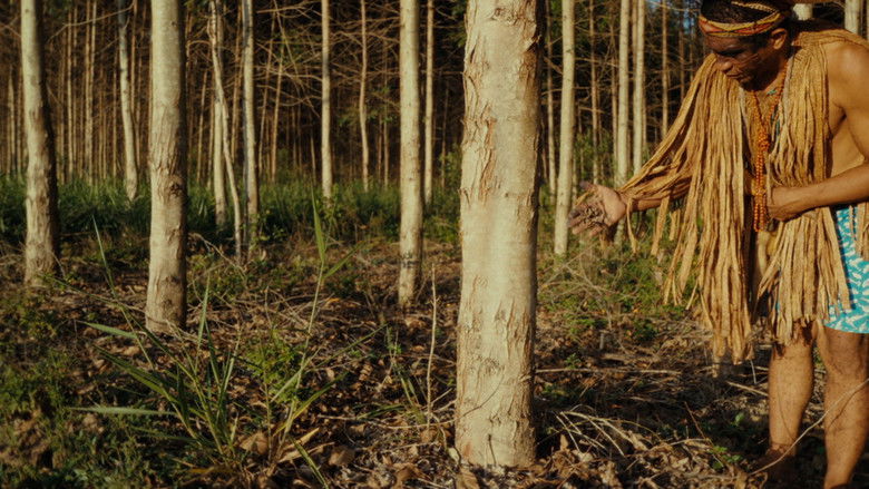 кадр из фильма Planter à tout prix - Des arbres pour sauver la planète ?