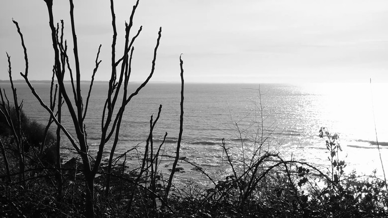 кадр из фильма A film about nothing