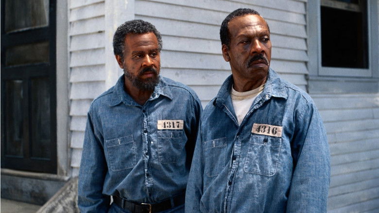 кадр из фильма Пожизненно!