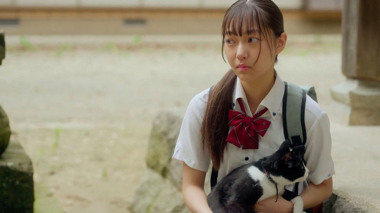 кадр из фильма 猫と私と、もう1人のネコ