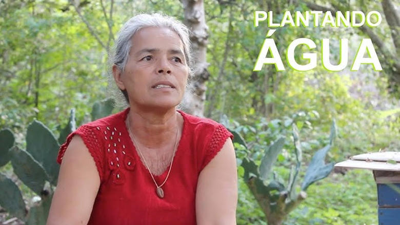 кадр из фильма Plantando Água