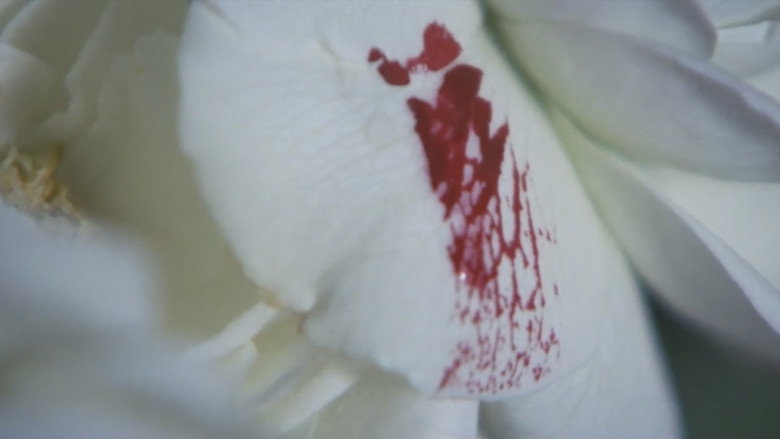 кадр из фильма 昼下りの情事　変身