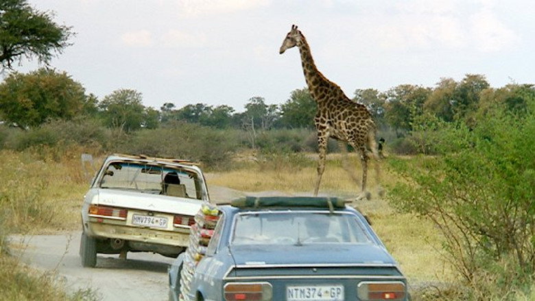 кадр из фильма Top Gear: Botswana Special