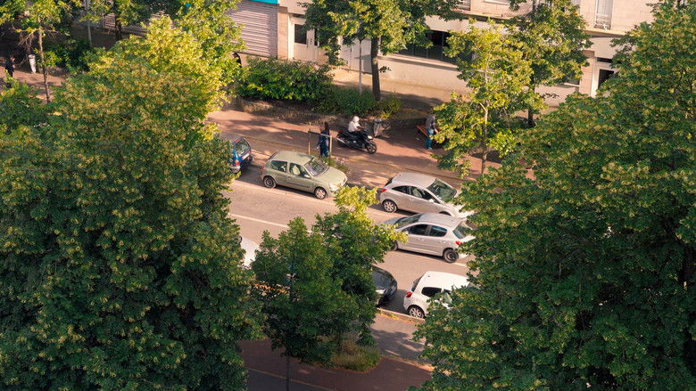 кадр из фильма Madiakho m'a dit