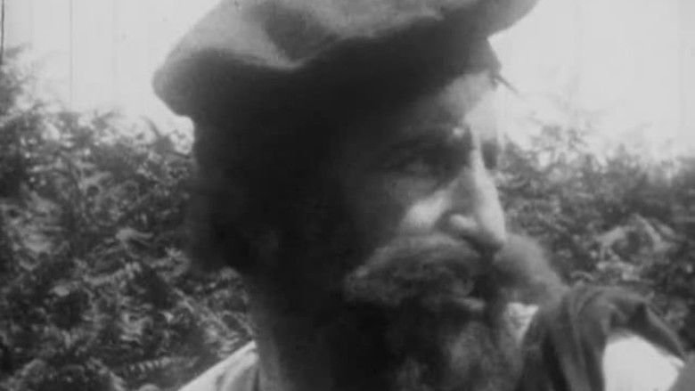 кадр из фильма Fickle Fortune