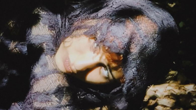 кадр из фильма Ballad of a Jutland girl