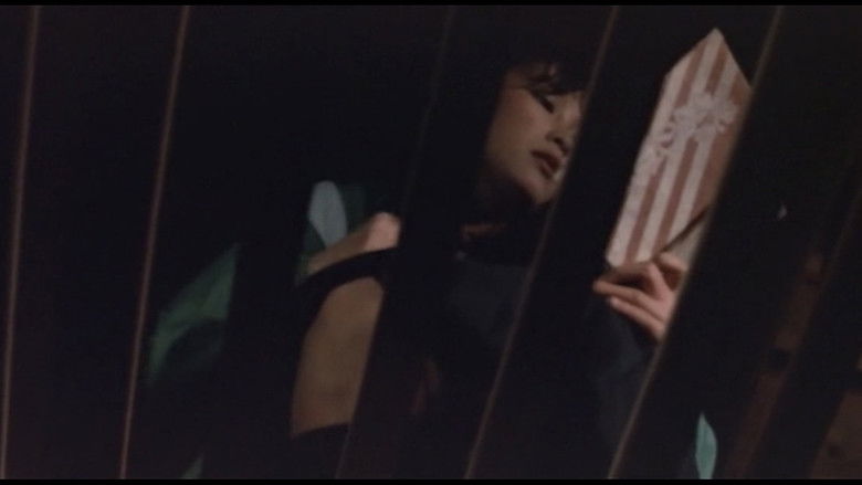 кадр из фильма 少女娼婦 けものみち