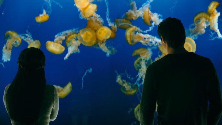 кадр из фильма Всем парням: P.S. Я все еще люблю тебя