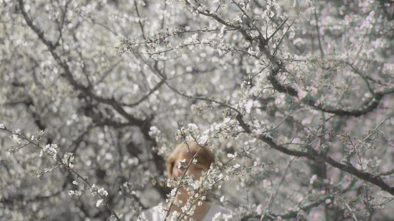 кадр из фильма Volver a la luz