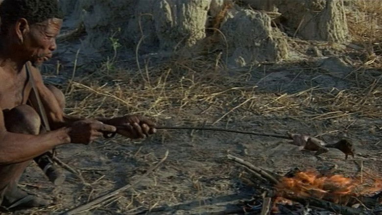 кадр из фильма Животные — прекрасные люди