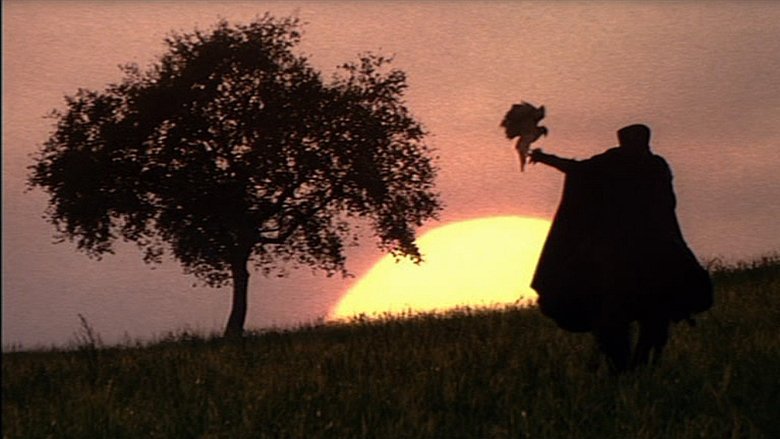 кадр из фильма Леди-ястреб