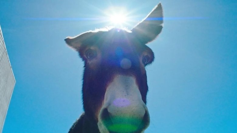 кадр из фильма Une parfaite étrangeté