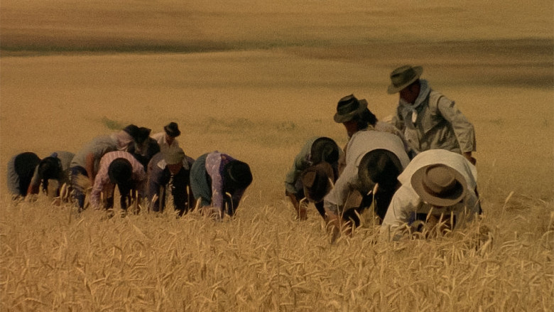 кадр из фильма Cerromaior