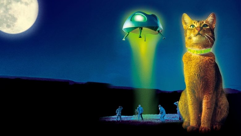 кадр из фильма Кот из космоса