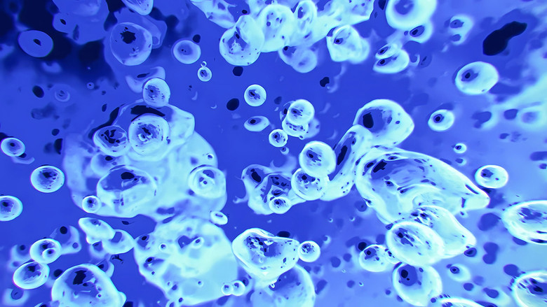 кадр из фильма The Best Of Liquid Television