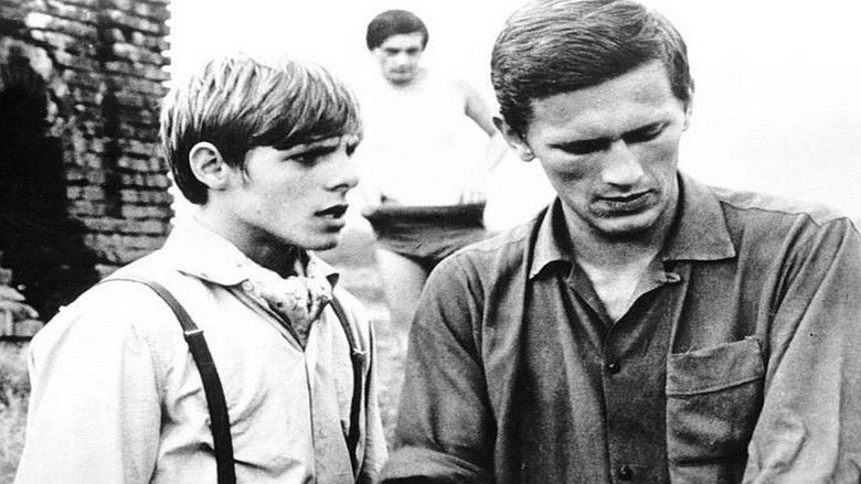 кадр из фильма Cyrograf dojrzałości