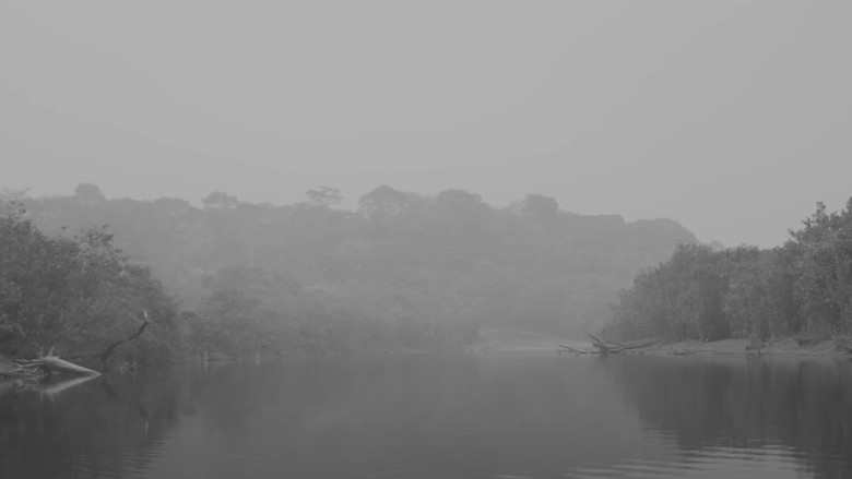 кадр из фильма Como Matar um Rio