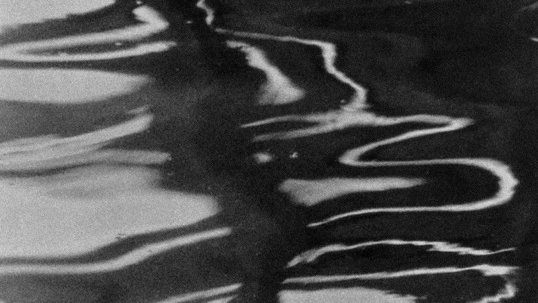 кадр из фильма H₂O