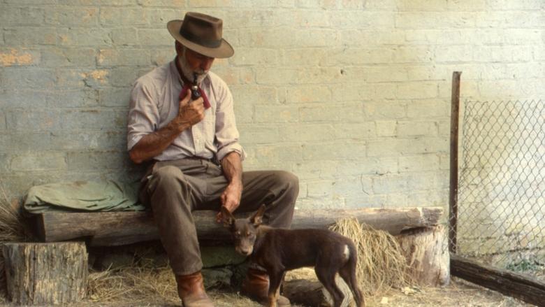 кадр из фильма Dusty