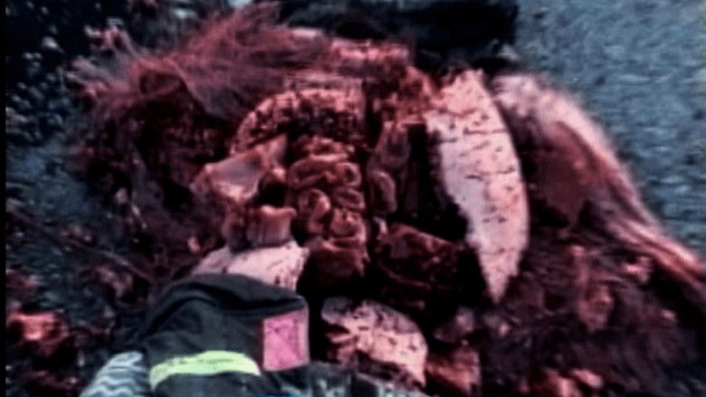 кадр из фильма The Bride Of Frank