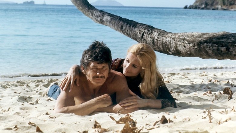 кадр из фильма Город насилия