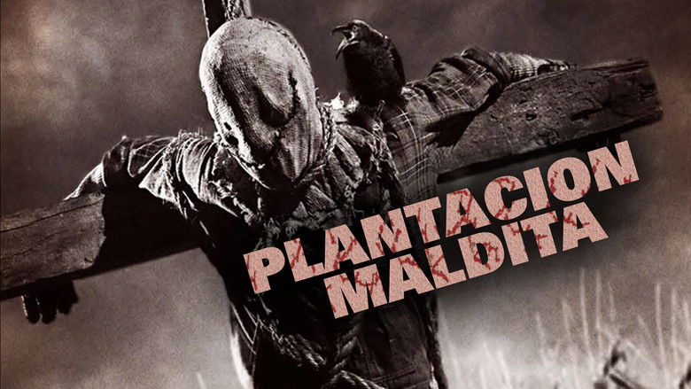 кадр из фильма Шелуха