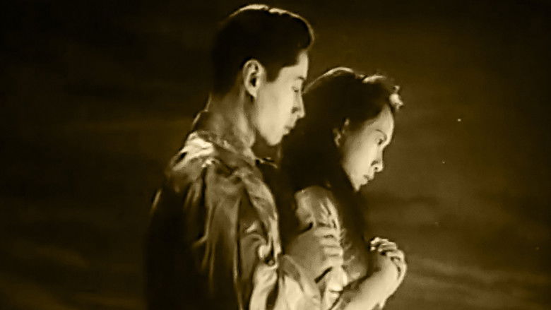 кадр из фильма Полуночная песня