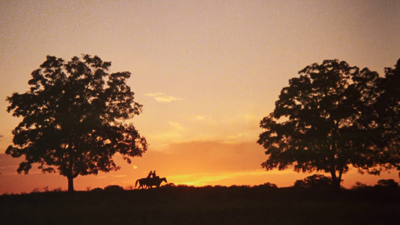 кадр из фильма Лживая Луна