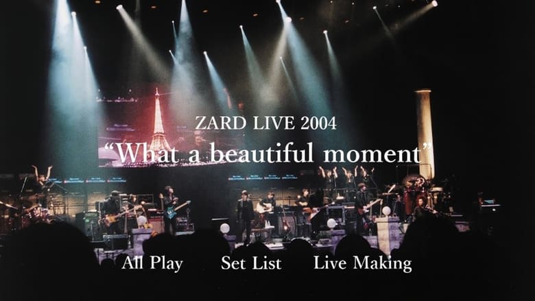 кадр из фильма ZARD LIVE 2004“What a beautiful moment