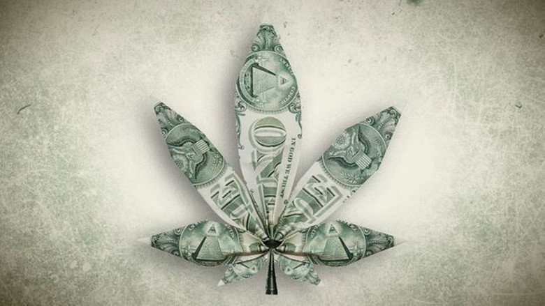 кадр из фильма Cannabis : quand le deal est légal