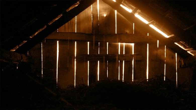 кадр из фильма A Single Frame