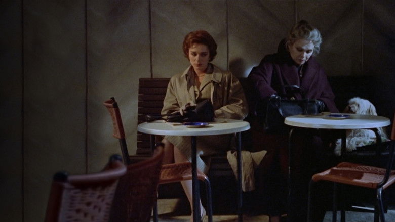 кадр из фильма Последний гарем