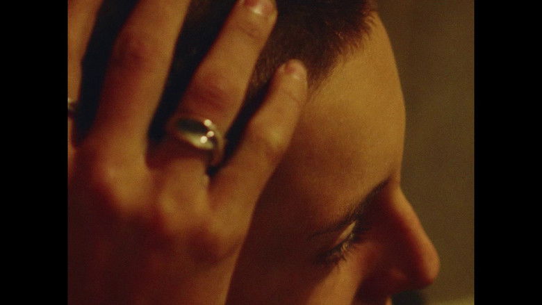 кадр из фильма Summer Nights