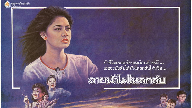 สายน้ำไม่ไหลหลับ
