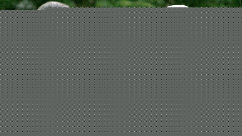 кадр из фильма LUV