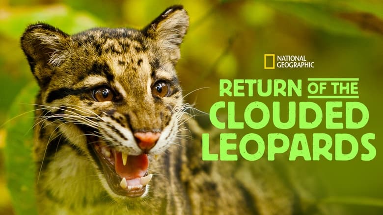кадр из фильма Return of the Clouded Leopards