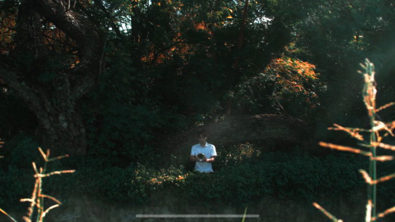 кадр из фильма O Que Me Viu Passar