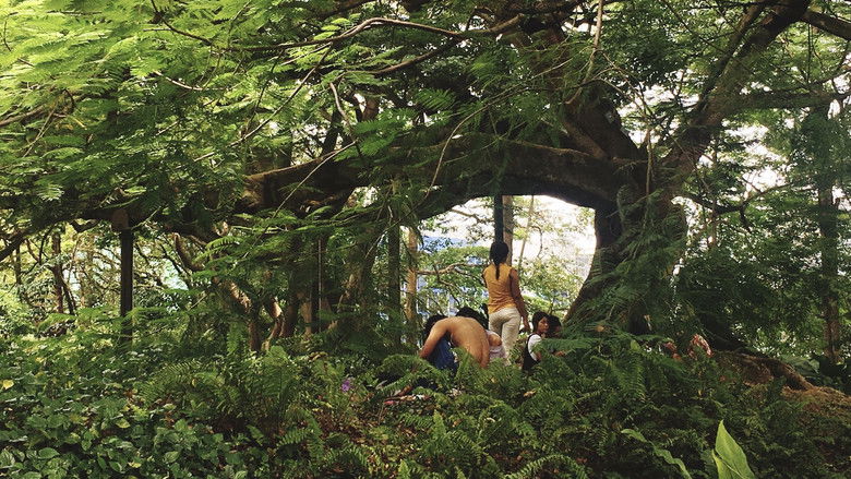 кадр из фильма พลอย