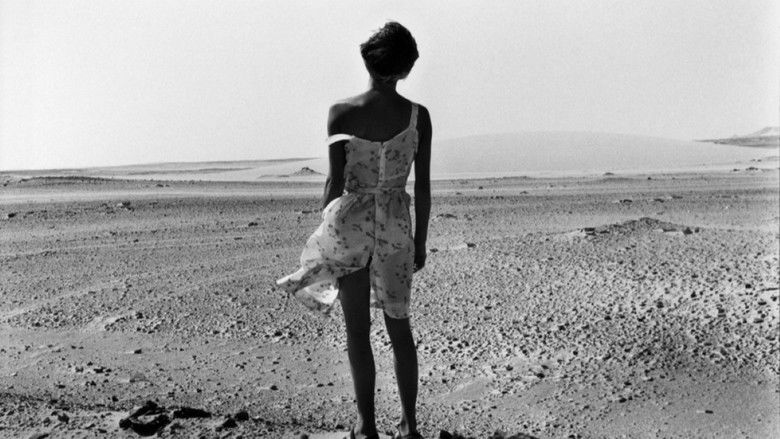 кадр из фильма Une femme en Afrique