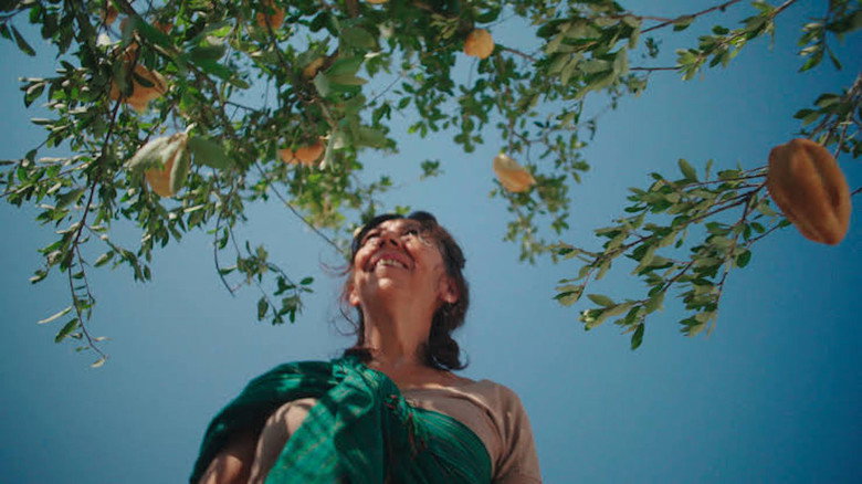 El Árbol