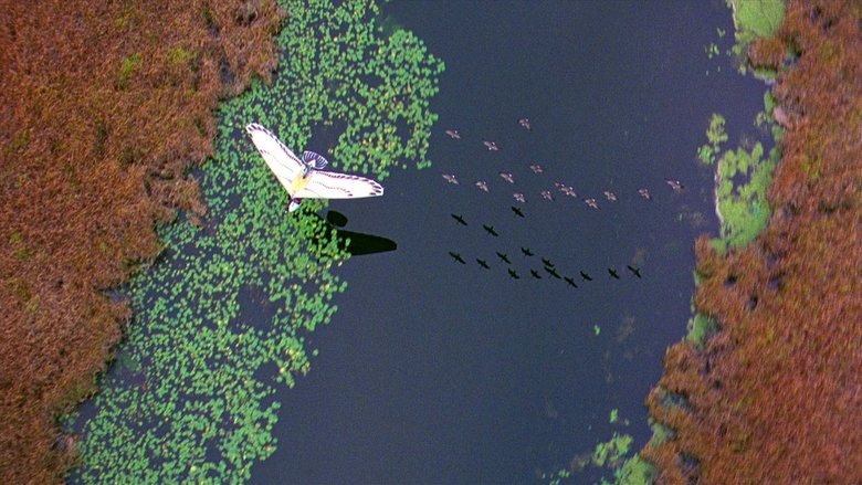 кадр из фильма Летите домой