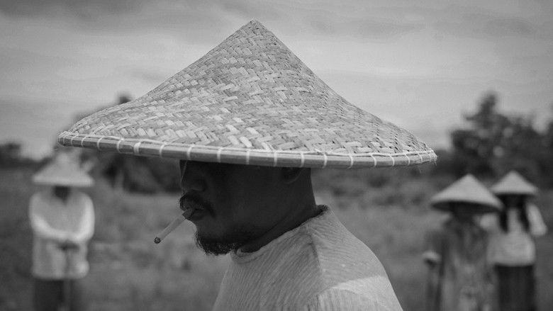 кадр из фильма Seven Monkeys