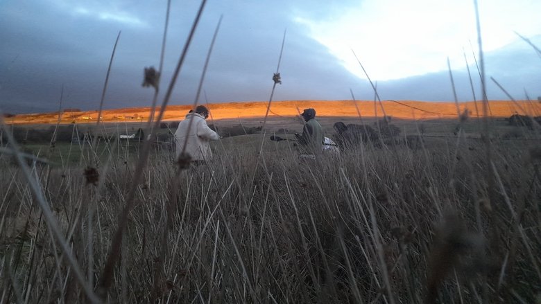 кадр из фильма INSIDE: Narrative of Our Journey