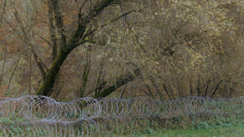 кадр из фильма Obzornik 670 – Rdeči gozdovi