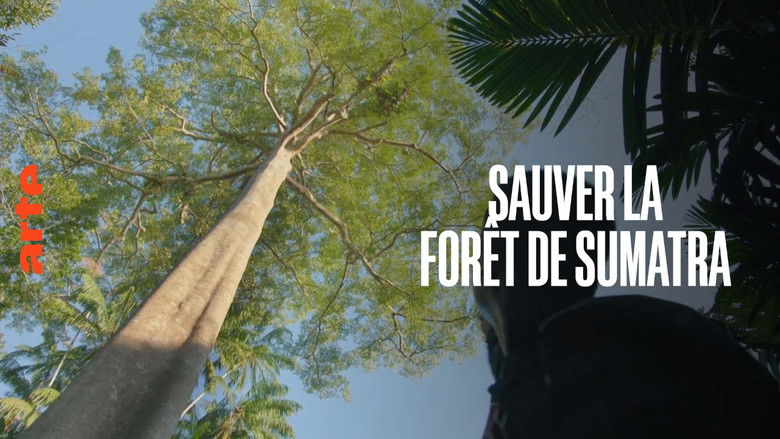 кадр из фильма Sauver la forêt de Sumatra