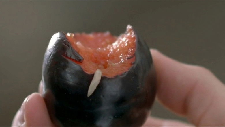 кадр из фильма Un lever de rideau