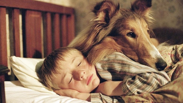 кадр из фильма Лэсси