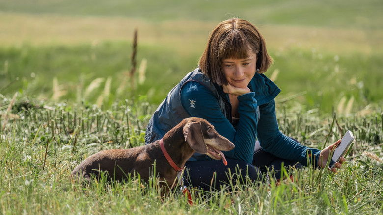 кадр из фильма Поехавшая