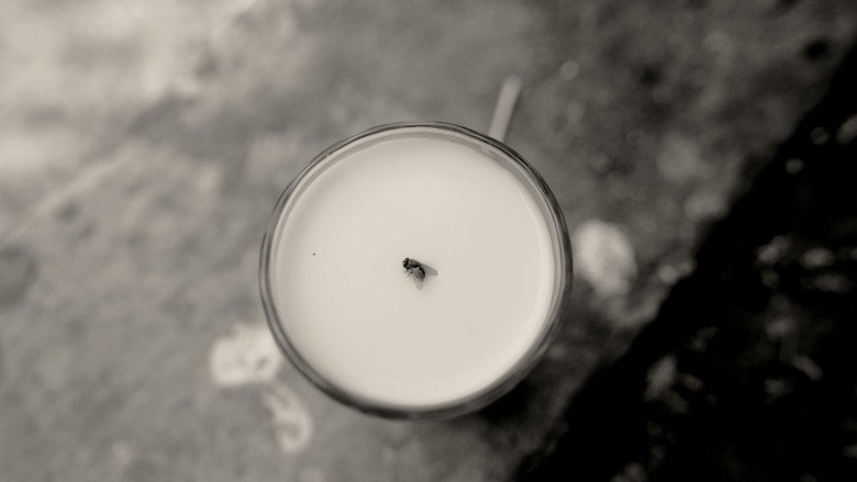 кадр из фильма A Fly Floating In The Midst Of The Milk